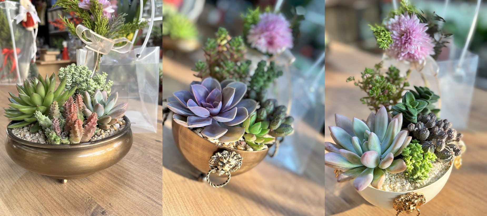 Sukkulent Aranjmanlarımız