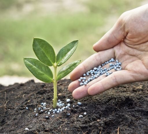 Gübreler- Bitki Koruma- Topraklar