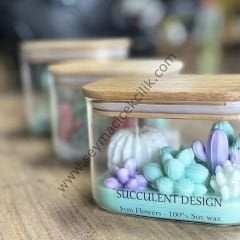 Kaktüs  aranjman Mumluk