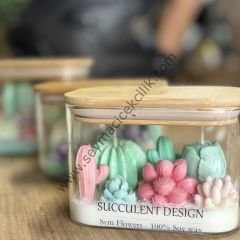 Kaktüs  aranjman Mumluk