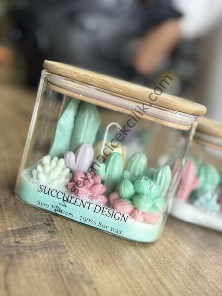 Kaktüs  aranjman Mumluk