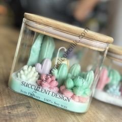 Kaktüs  aranjman Mumluk