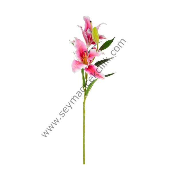 Islak Lilyum- 1 dal/adet