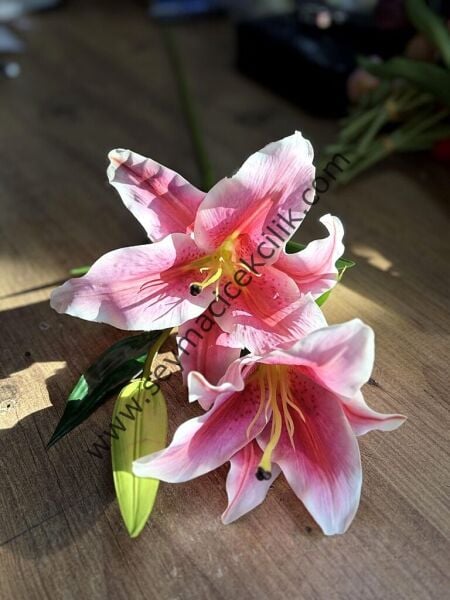 Islak Lilyum- 1 dal/adet