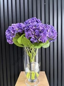 Islak Ortaca  - Lila renkli-  Uzun boylu