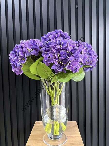 Islak Ortaca  - Lila renkli-  Uzun boylu