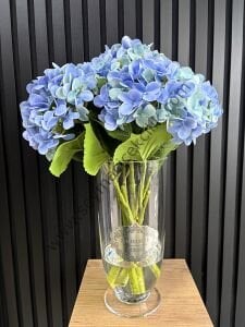 Islak Ortaca  - Mavi renkli- Uzun Boylu