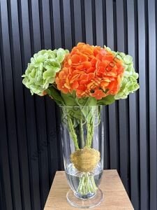 Islak Ortaca  - Yeşil/Turuncu renkli- Uzun Boylu