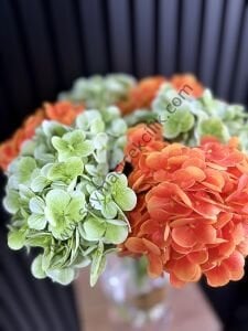 Islak Ortaca  - Yeşil/Turuncu renkli- Uzun Boylu