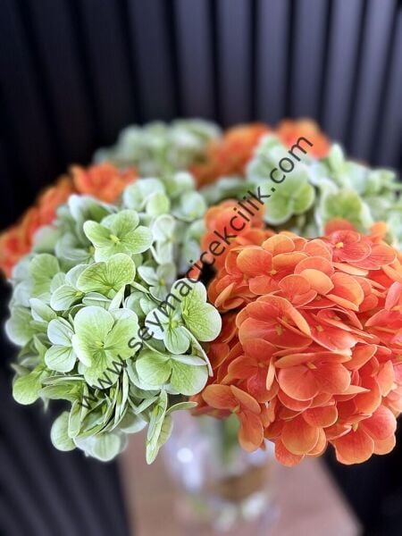 Islak Ortaca  - Yeşil/Turuncu renkli- Uzun Boylu