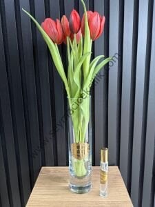 Islak Lale- Kırmız renkli