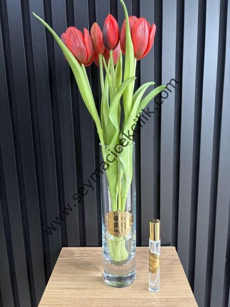 Islak Lale- Kırmız renkli