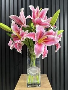 Islak Lilyum- Pembe renkli