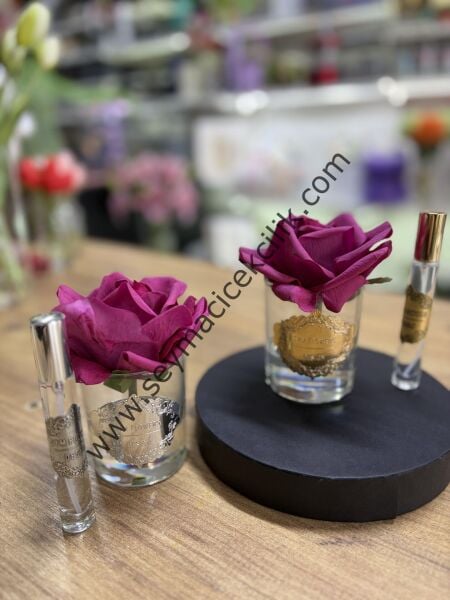 Tekli Islak Gül- Fuşya