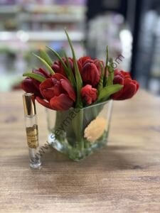 Islak Lale 11 li- Kırmızı renkli