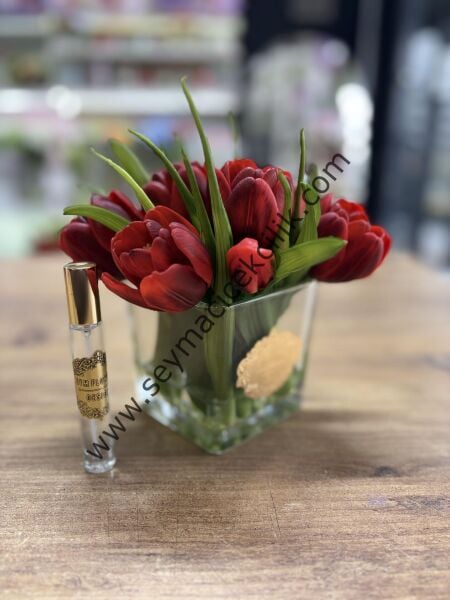 Islak Lale 11 li- Kırmızı