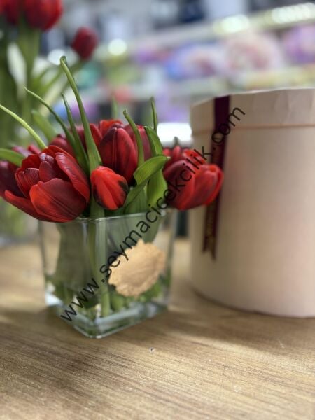 Islak Lale 11 li- Kırmızı