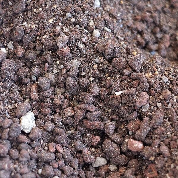 Şeyma Çiçekçilik  Kaktüs Toprağı