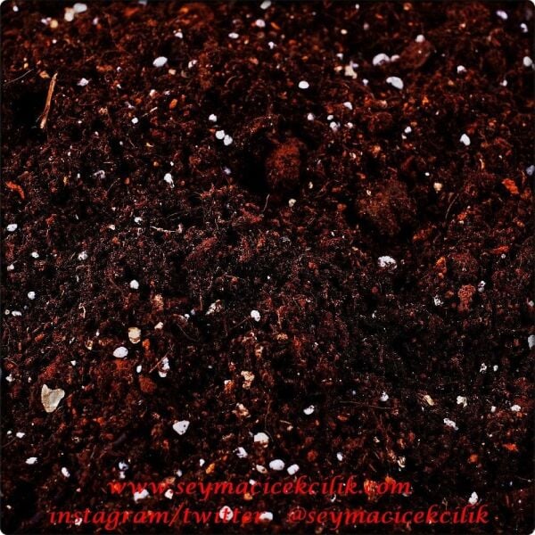 Şeyma Çiçekçilik Sukkulent Toprağı 2.5 lt