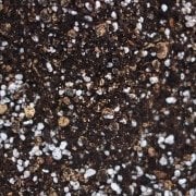 Şeyma Çiçekçilik  Menekse Toprağı 2 litre