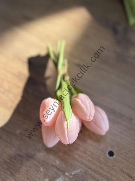 Islak  Lale- kısa boylu