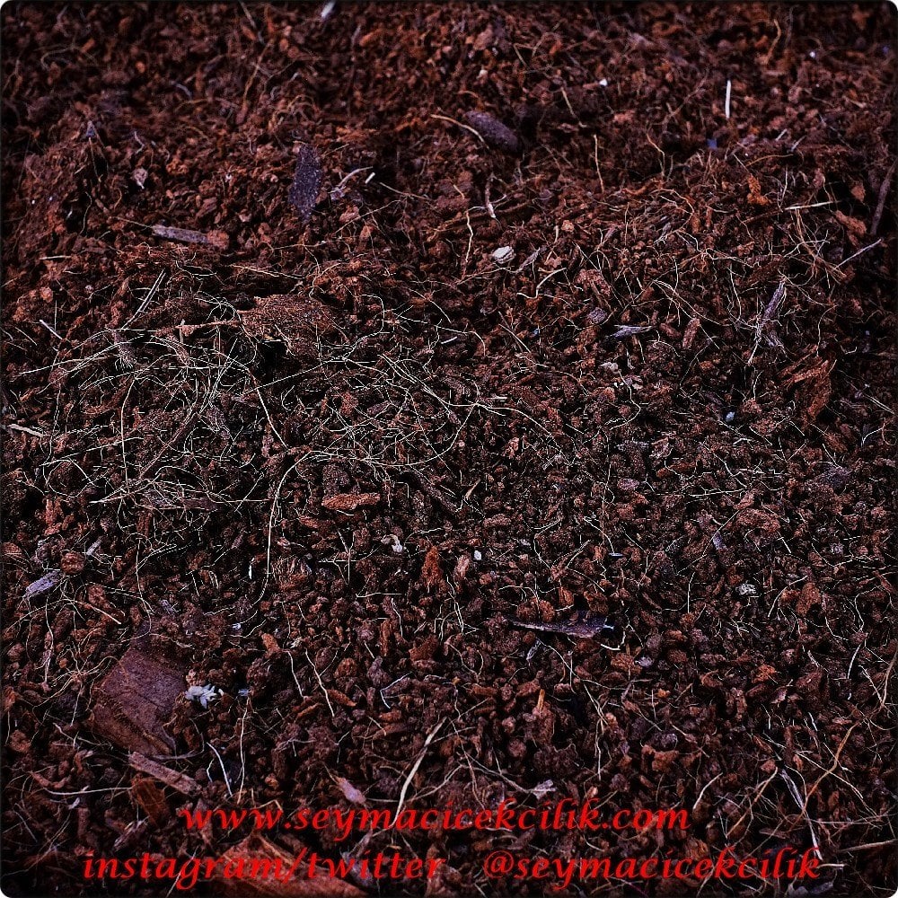 Cocopeat 2 lt