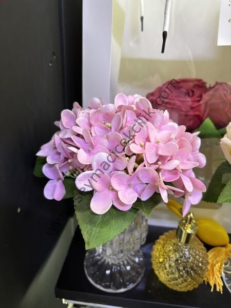 Teki Islak Ortanca - Helen Vazo- Pembe Renkli