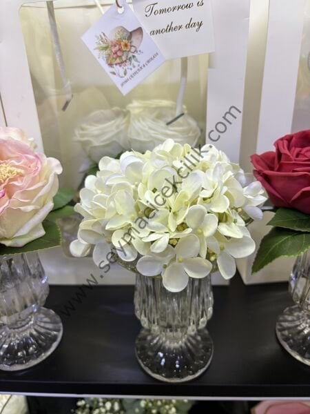 Teki Islak Ortanca - Helen Vazo- Beyaz Renkli