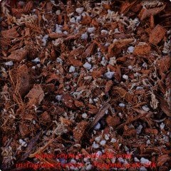 Seyma Cicekcilik Orkideler İçin Özel Karısım 2 LT