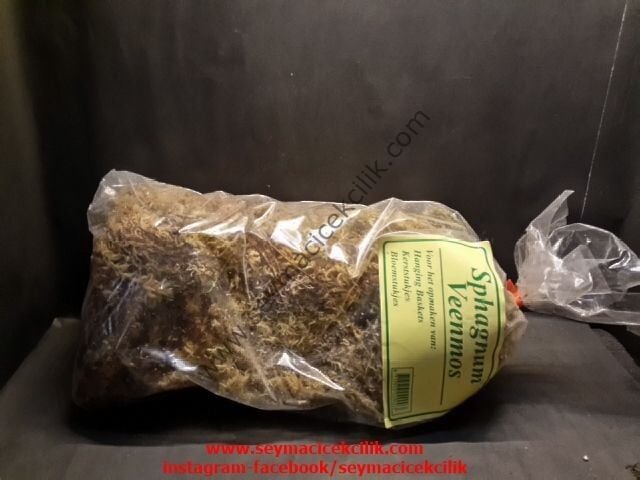Sphagnum Moss- Sphagnum Yosunu