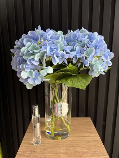 Islak Ortanca  - Mavi renkli