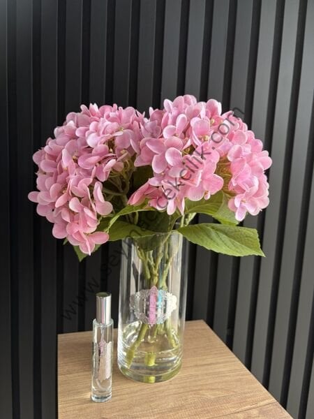 Islak Ortanca  - Pembe