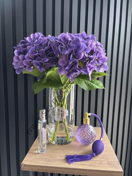 Islak Ortanca  - Mor