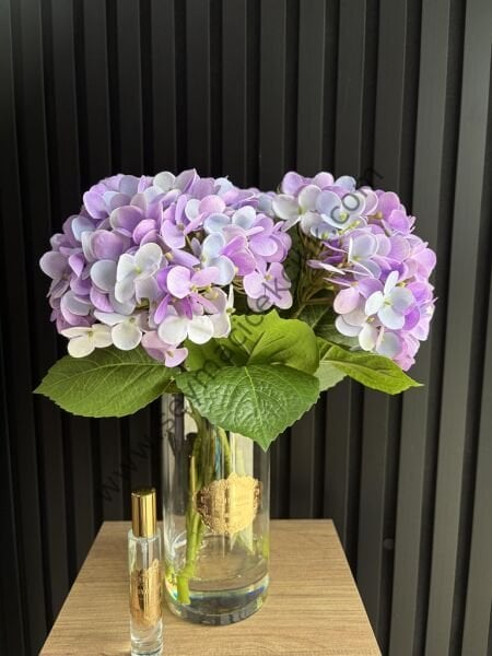 Islak Ortanca  - Lila