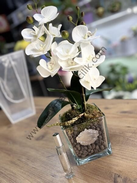 Yapay Islak Orkide