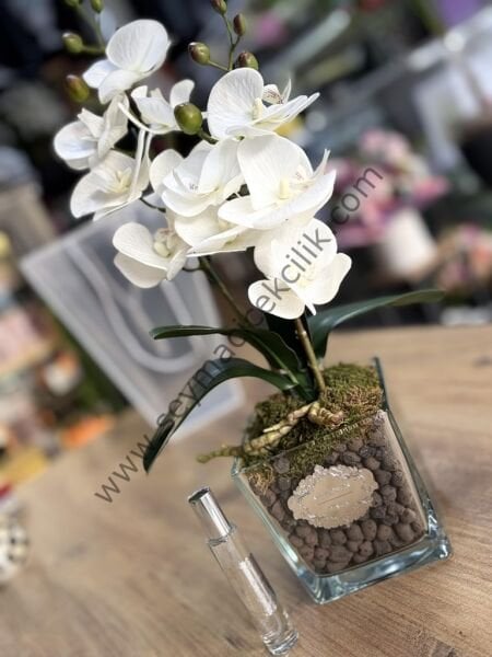 Yapay Islak Orkide