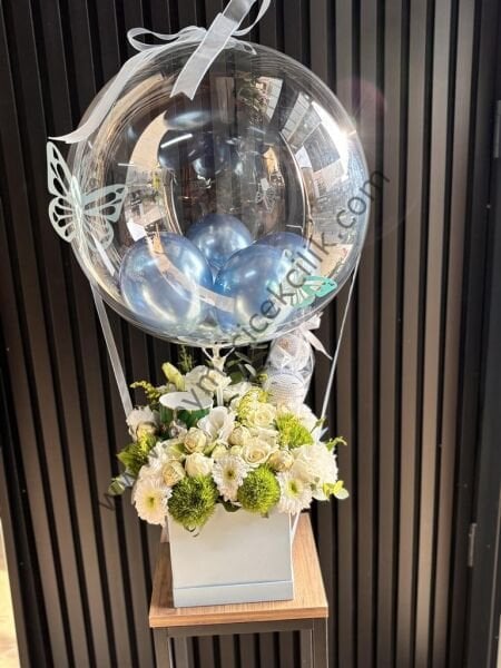 Balonlu kutu- Pip studio lu