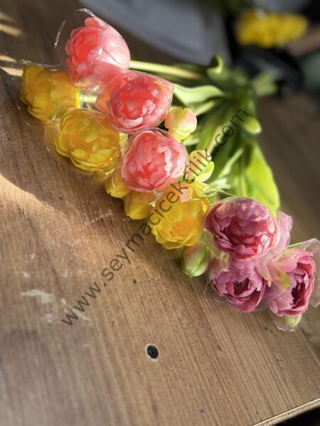 Islak  Lale Katmerli