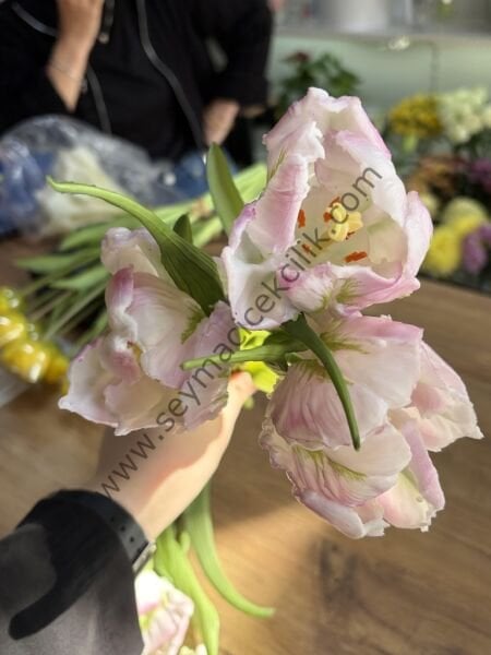 Islak  Lale Kırçıllı