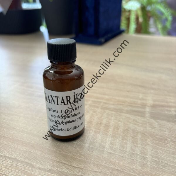 Mantar İlacı 20 gr (cc)