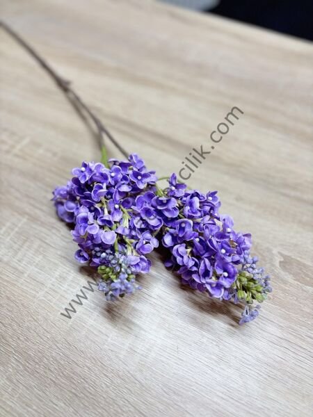 Islak dokulu Leylak çiçeği