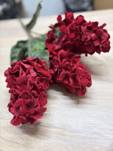 Bez Ortanca- Kırmızı renkli