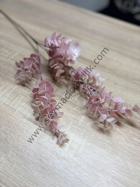 Pembe ıslak Okaliptus