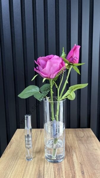 Islak Gül Tomurcuklu