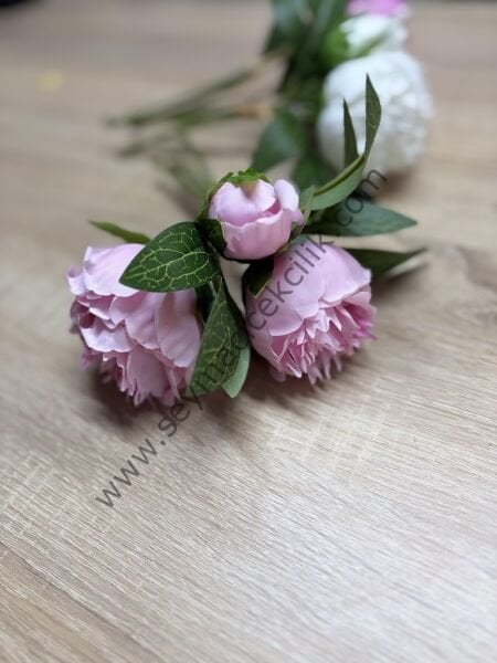 Bez açık Şakayık