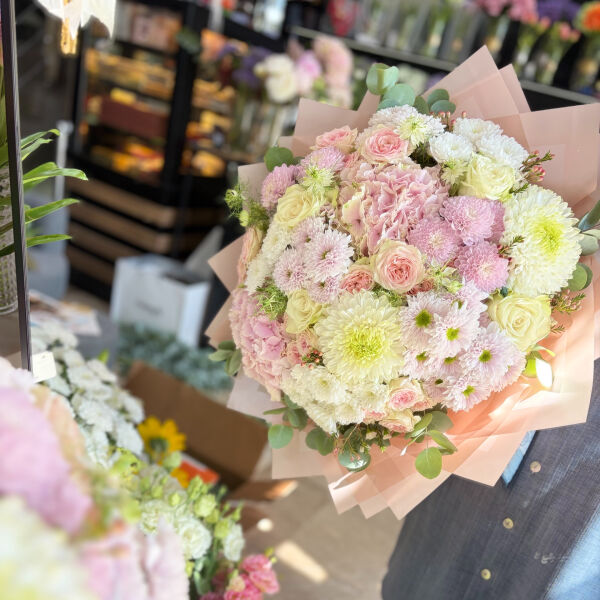 Hydrangea