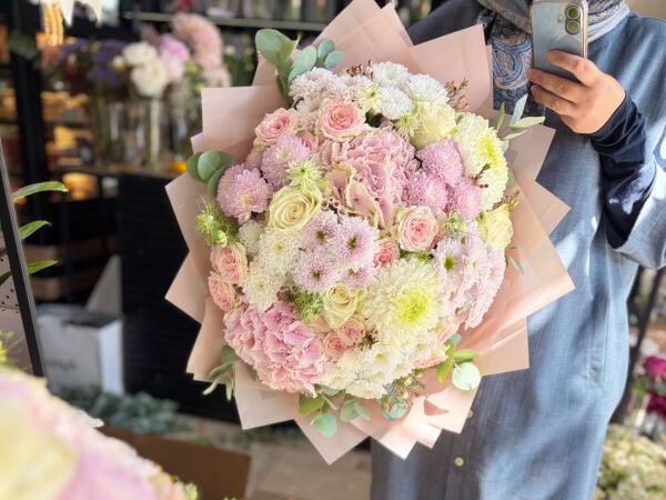 Hydrangea