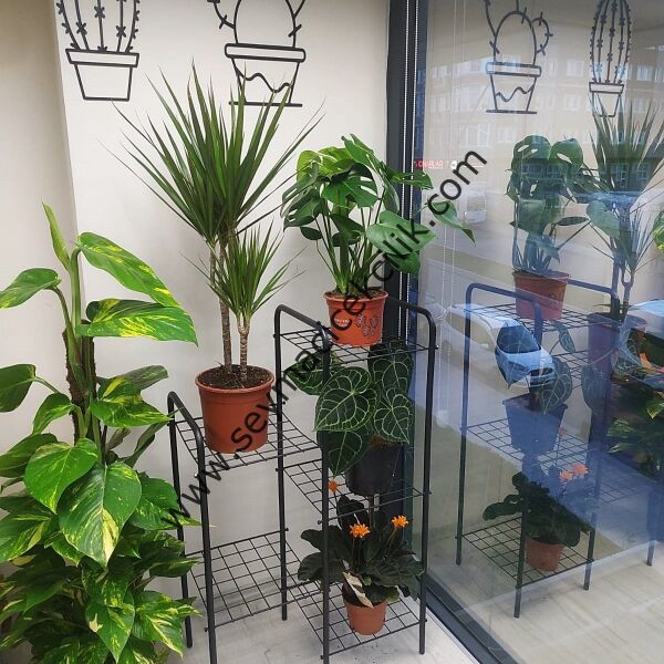 Çiçek Rafı Metal- 5 Raflı- ücretsiz kargo