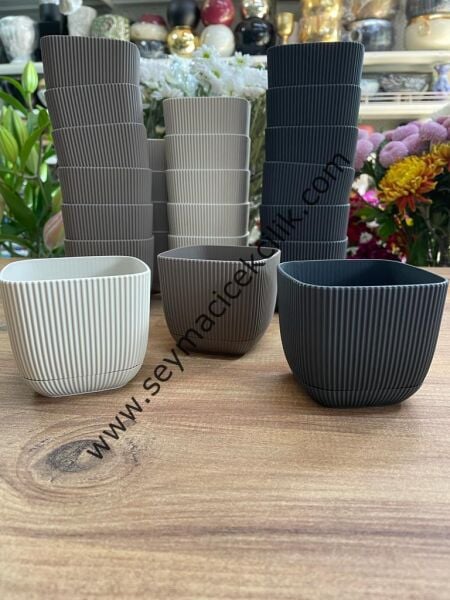 1 No mercan kare saksı