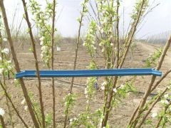 Kilitsiz Tam Bodur Dal Açma Aparatı 35cm